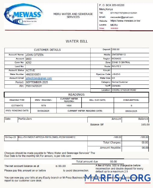 Blank Kenya Meru Water and Sewerage Services utility bill template in Word and PDF formats